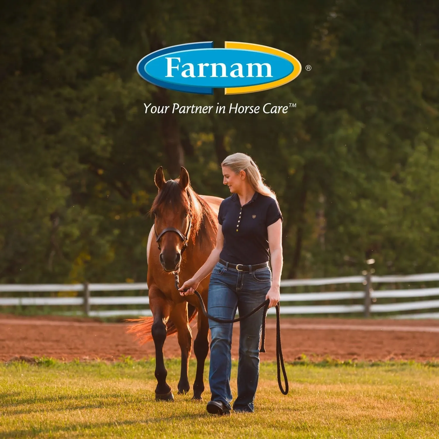 Endure Sweat-Resistant Fly Control