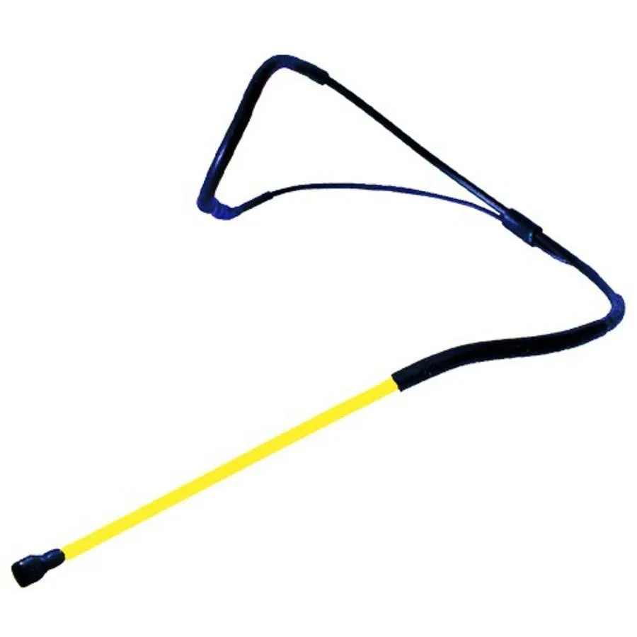 Fitness Audio Aeromic with Multimic Connector